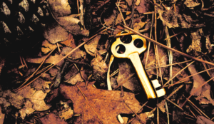 Key in the Woods; Photo by Michael Dziedzic on Unsplash